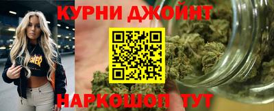 гидра Жуковский