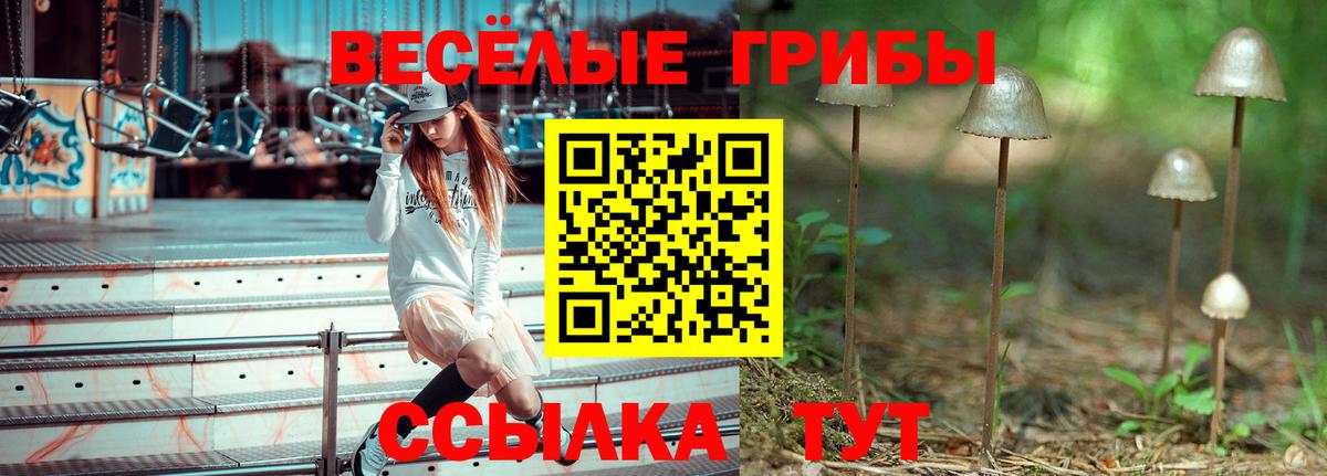 Псилоцибиновые грибы Magic Shrooms Москва