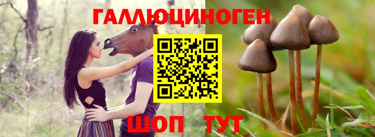 Москва  Псилоцибиновые грибы Psilocybe  Вход с VPN  Псилоцибиновые грибы мухоморы 